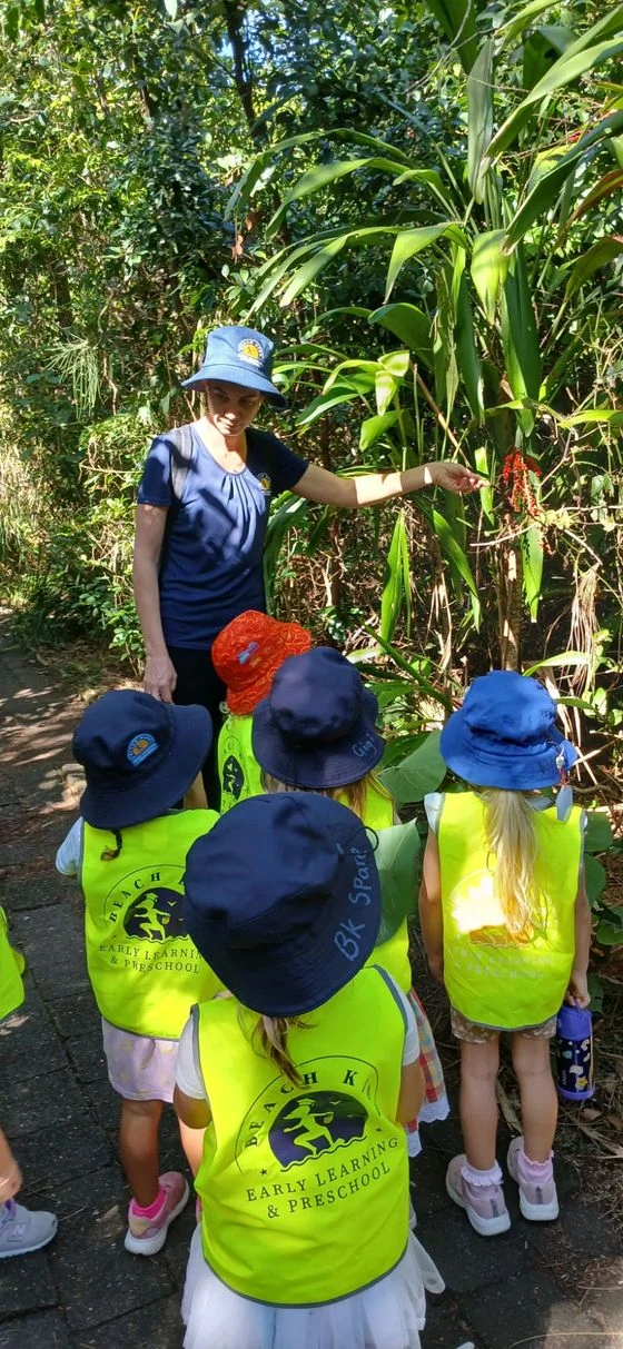 A Beach Kids educator showing children native plants on a Bush Kinder walk