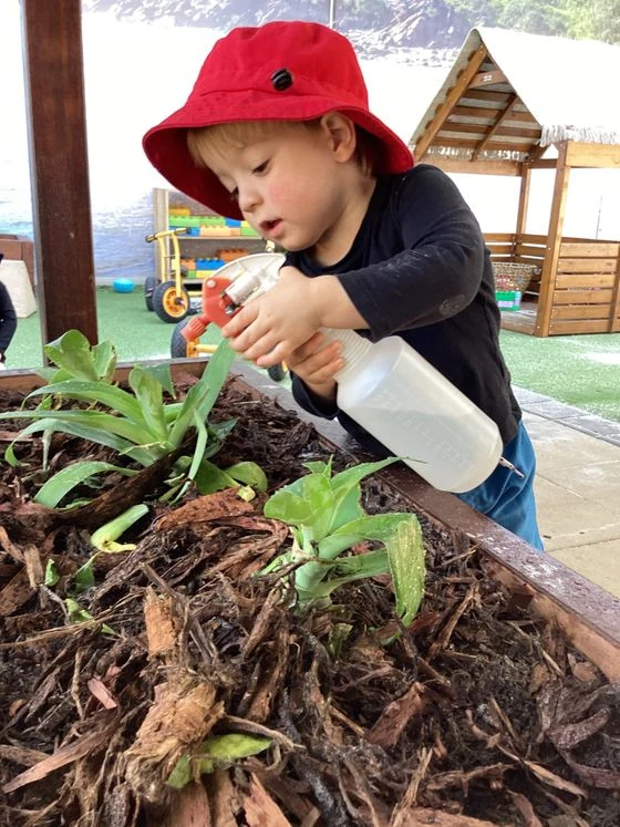 A child in a red hat watering seedlings in the garden bed at Beach Kids Cabarita